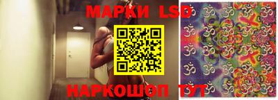 ГАЛЛЮЦИНОГЕННЫЕ ГРИБЫ Заволжье