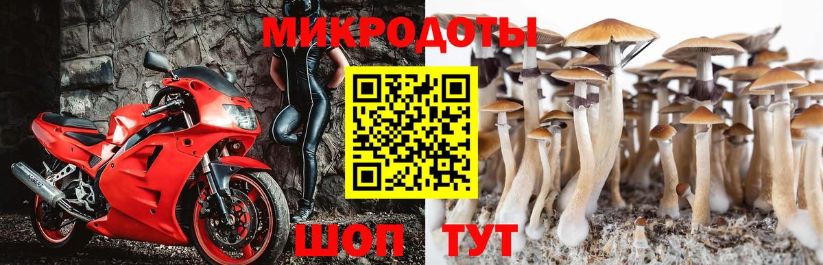 Ивантеевка  Галлюциногенные грибы мицелий  Вход с VPN 