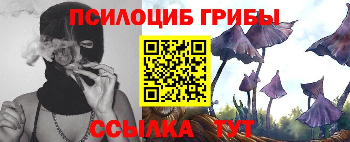 Псилоцибиновые грибы мухоморы Ивантеевка